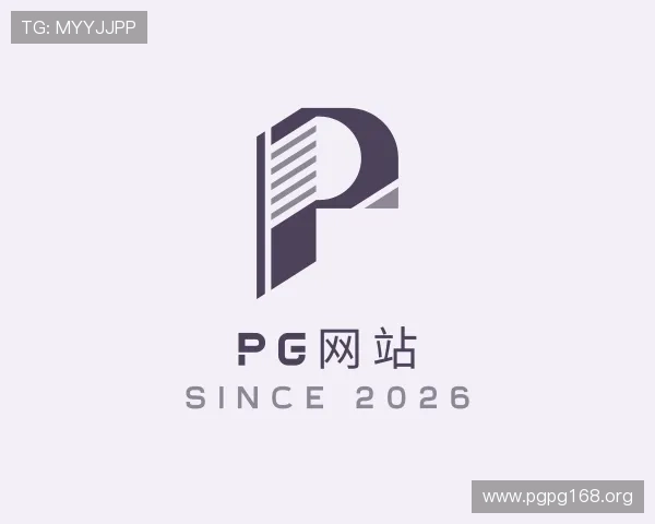阐述pg网站